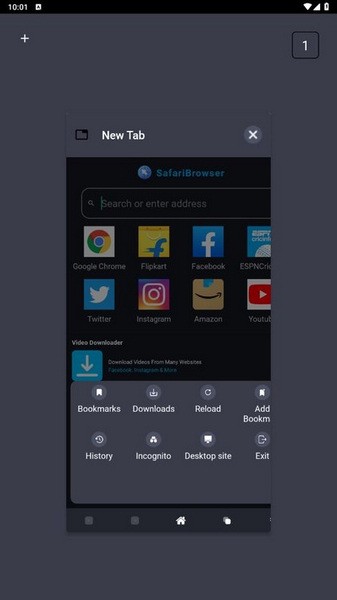 Safari浏览器 app